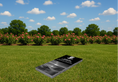 Load image into Gallery viewer, BIG GRANITE LEDGER
